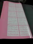 20100309184448.jpg